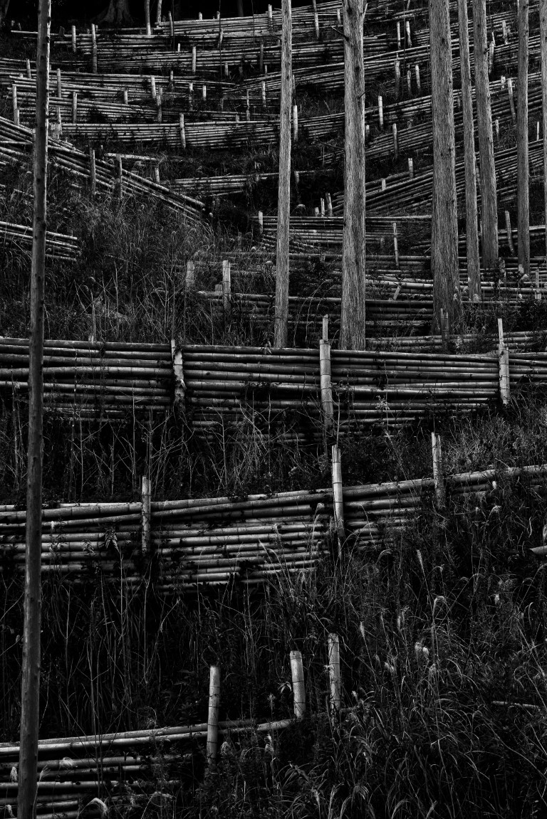 OFF REC VOL-14-ZENTSU-011