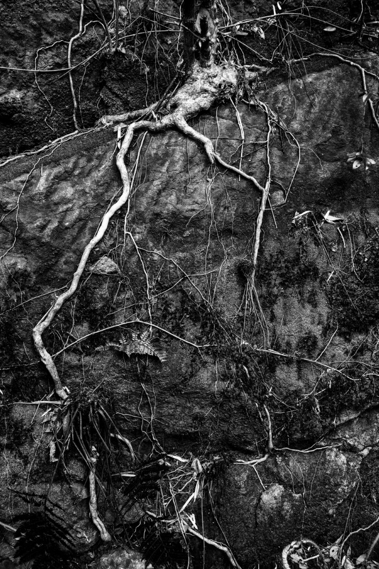 OFF REC VOL-14-ZENTSU-013