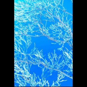 OFF REC VOL-14-ZENTSU-015