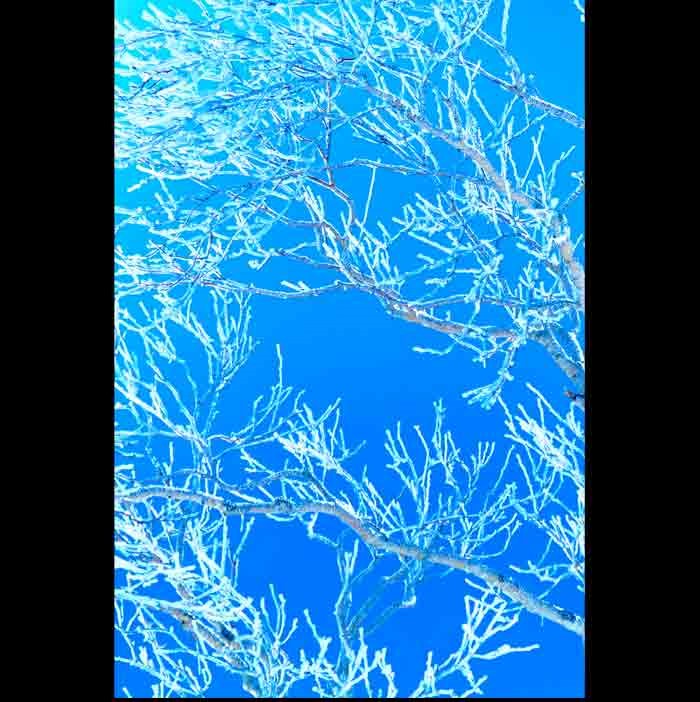 OFF REC VOL-14-ZENTSU-015