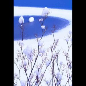 OFF REC VOL-14-ZENTSU-016