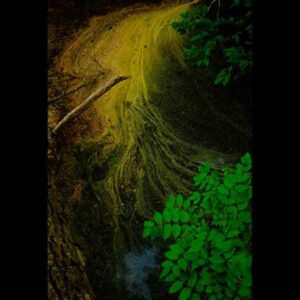 OFF REC VOL-14-ZENTSU-017