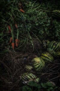 OFF REC VOL-14-ZENTSU-018