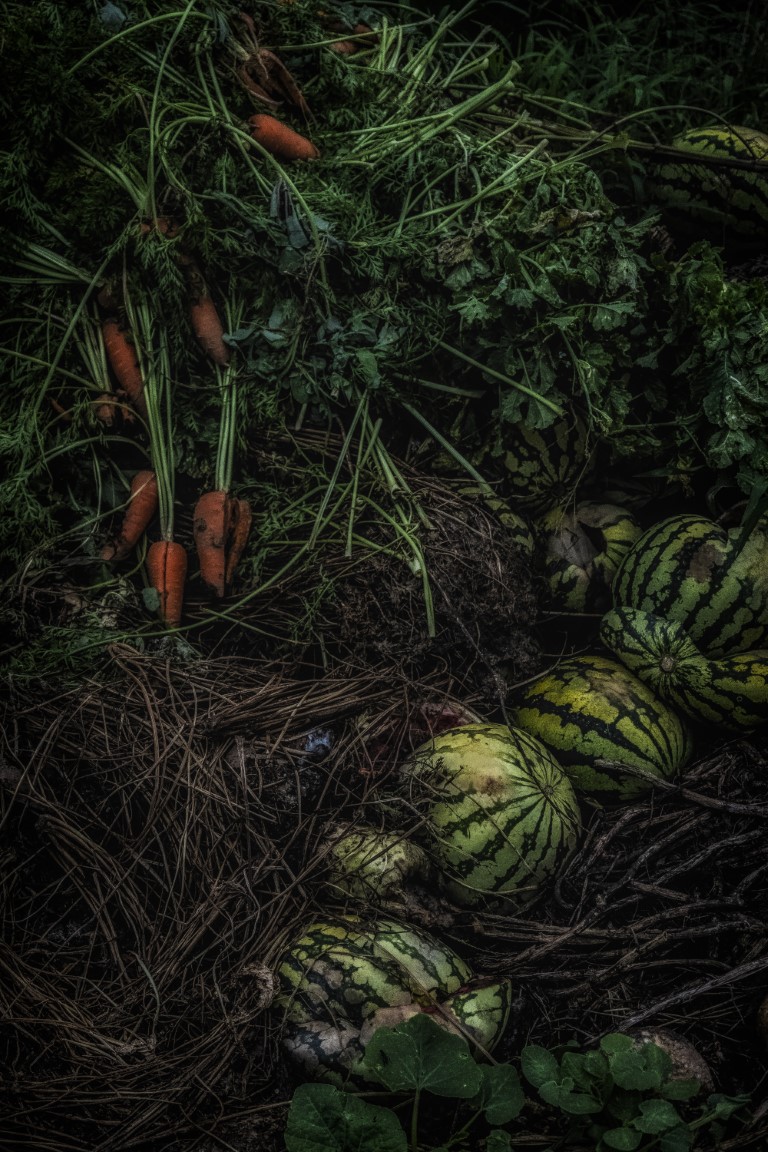 OFF REC VOL-14-ZENTSU-018