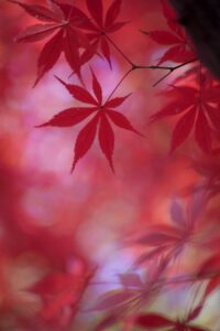 OFF REC VOL-14-ZENTSU-020