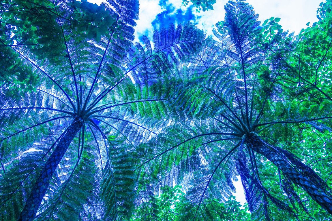 OFF REC VOL-14-ZENTSU-022