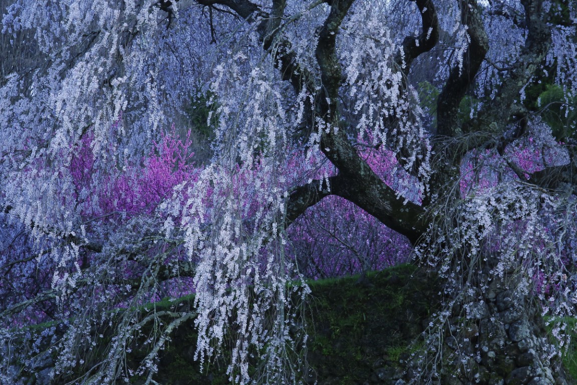 OFF REC VOL-14-ZENTSU-023