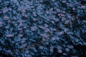 OFF REC VOL-14-ZENTSU-024