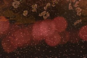 OFF REC VOL-14-ZENTSU-025