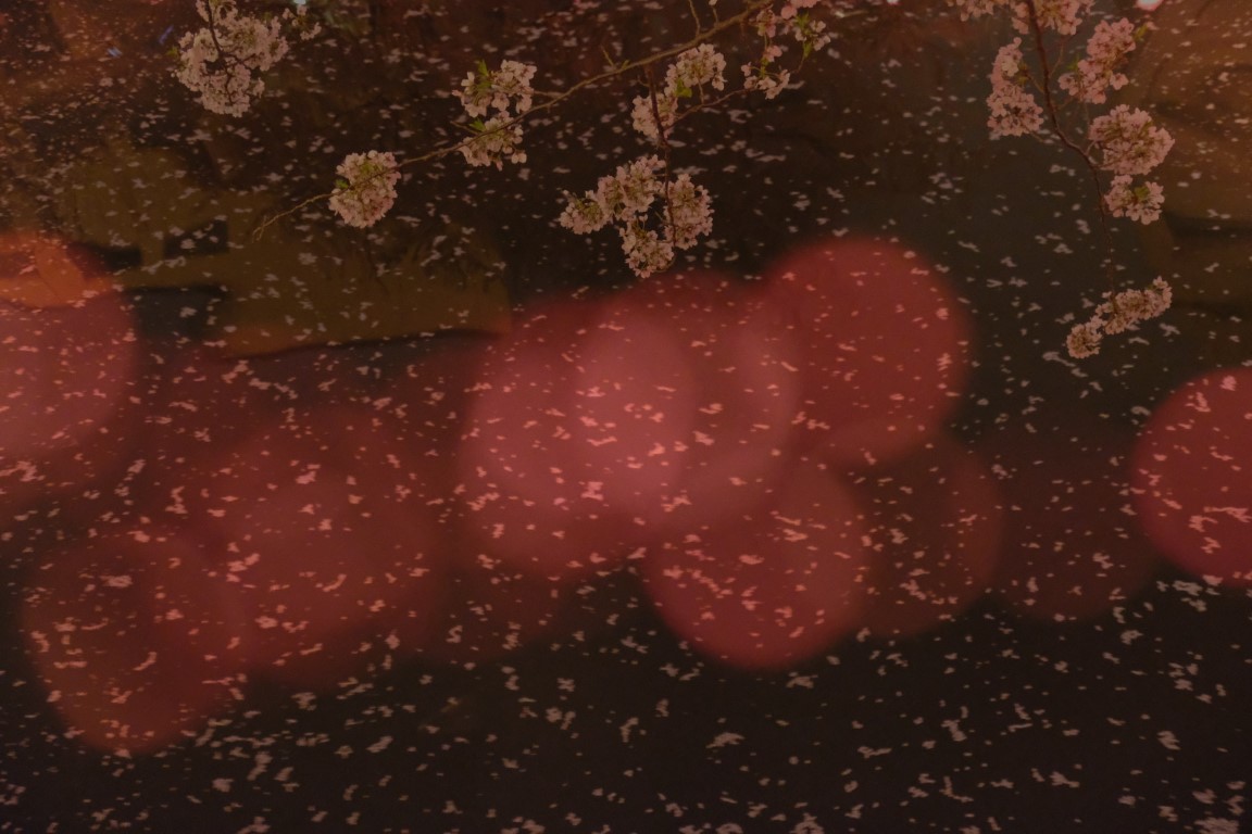 OFF REC VOL-14-ZENTSU-025