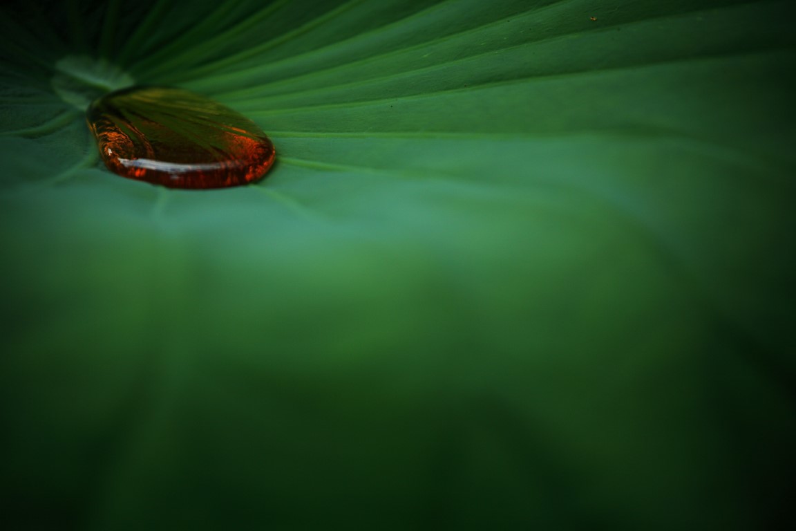 OFF REC VOL-14-ZENTSU-027