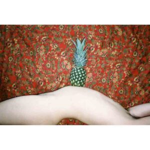 off rec vol-13-223-1 (4)