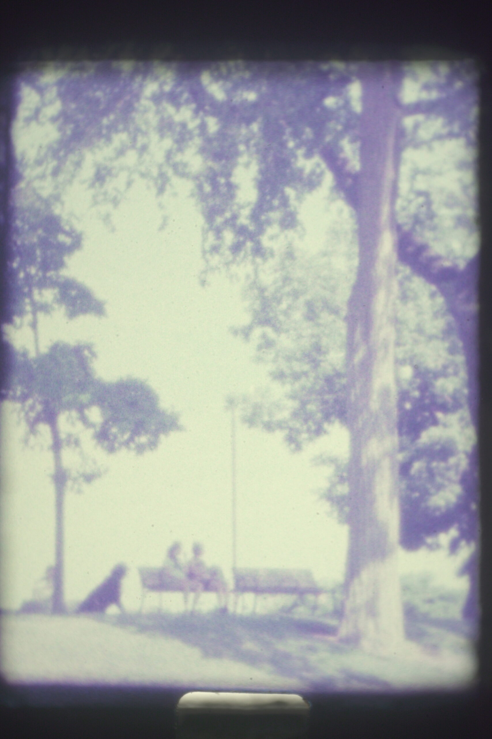 HIDEKI_TAKEMOTO_usa5