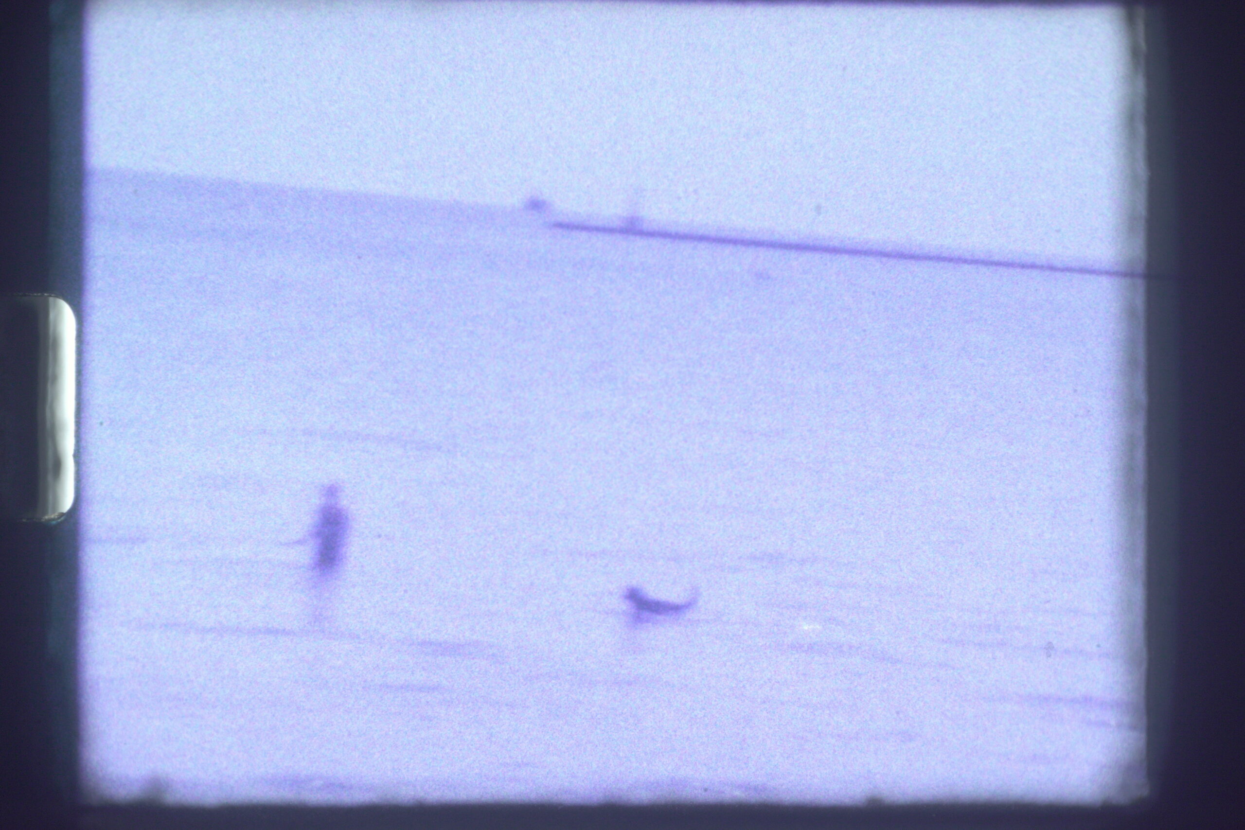 HIDEKI_TAKEMOTO_usa9