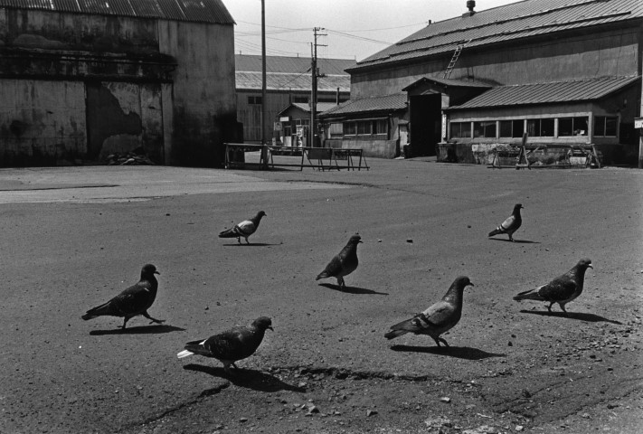 KOJI_DISTANCE_aomori