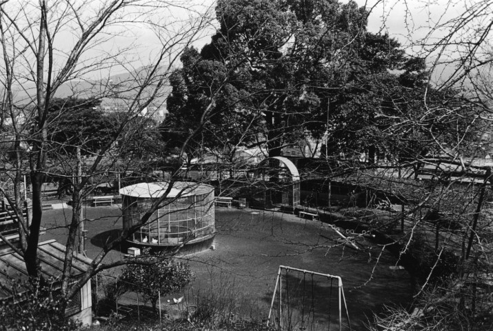 KOJI_DISTANCE_awa012_nogata