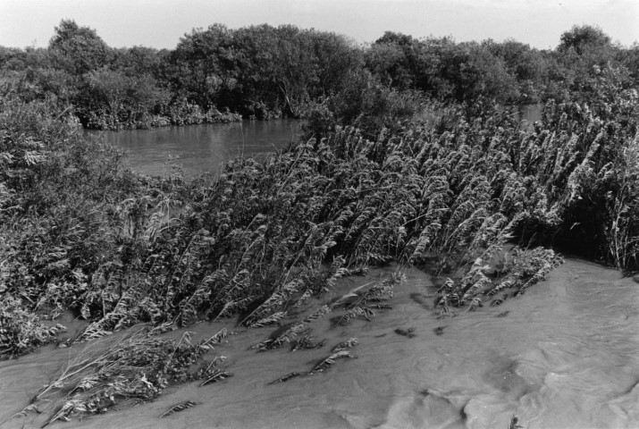 KOJI_DISTANCE_awa030_tenryugawa