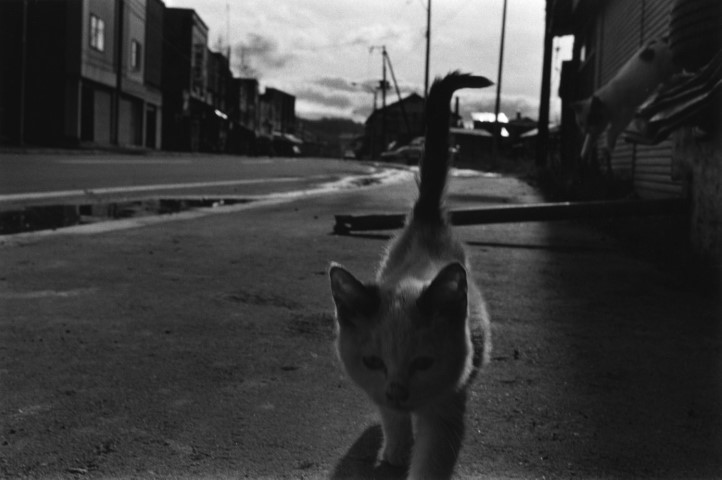 KOJI_DISTANCE_slow086_oyubari