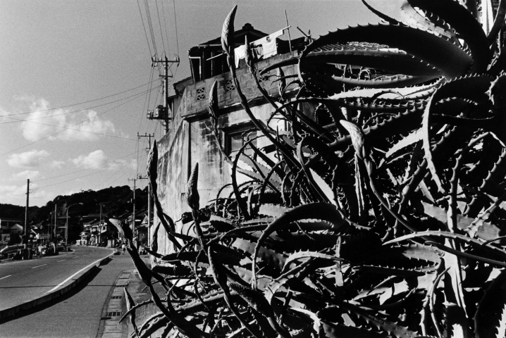 KOJI_Seitaka Awadachi_001