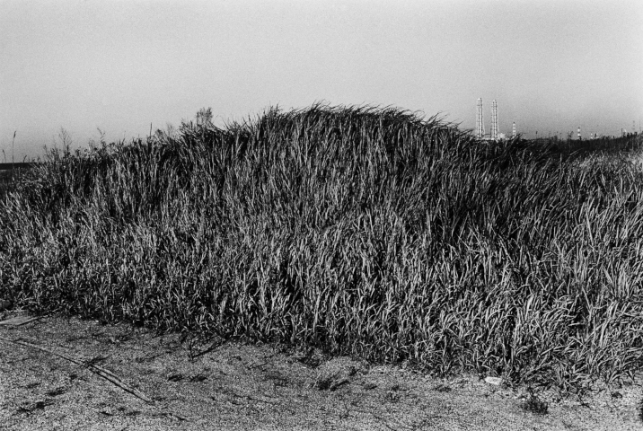 KOJI_Seitaka Awadachi_008