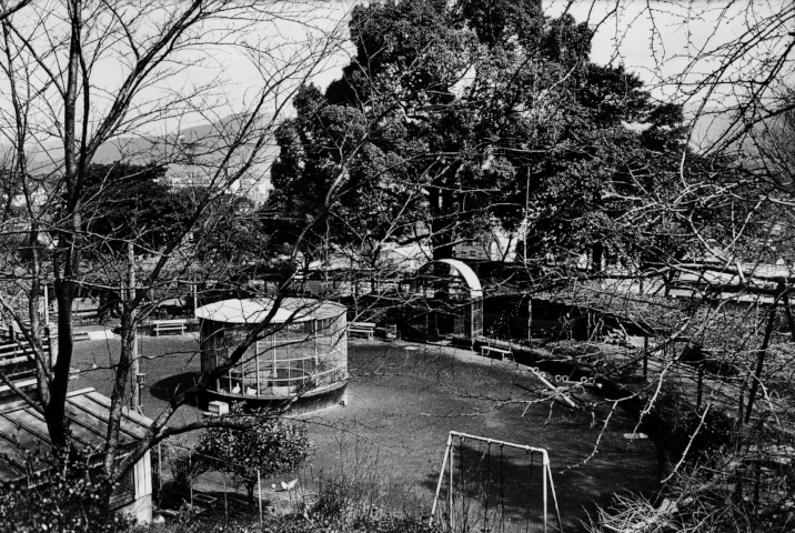 KOJI_Seitaka Awadachi_012