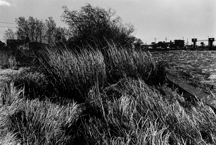 KOJI_Seitaka Awadachi_021