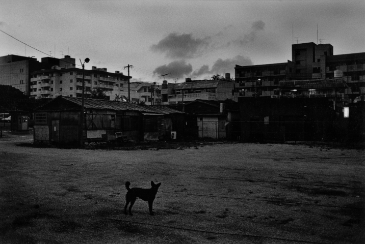 KOJI_Seitaka Awadachi_024