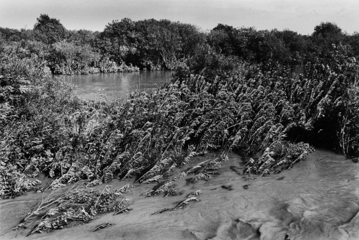 KOJI_Seitaka Awadachi_030