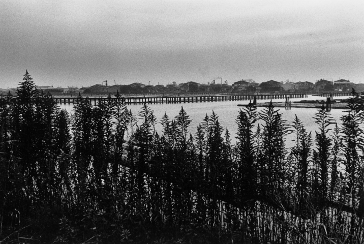 KOJI_Seitaka Awadachi_040