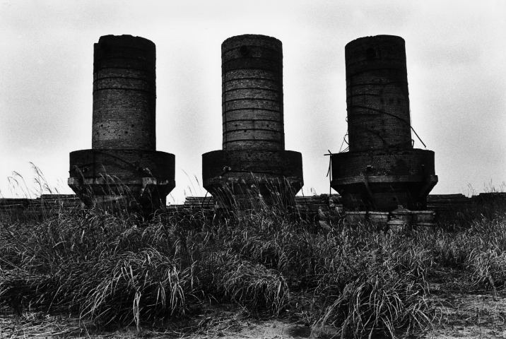 KOJI_Seitaka Awadachi_048