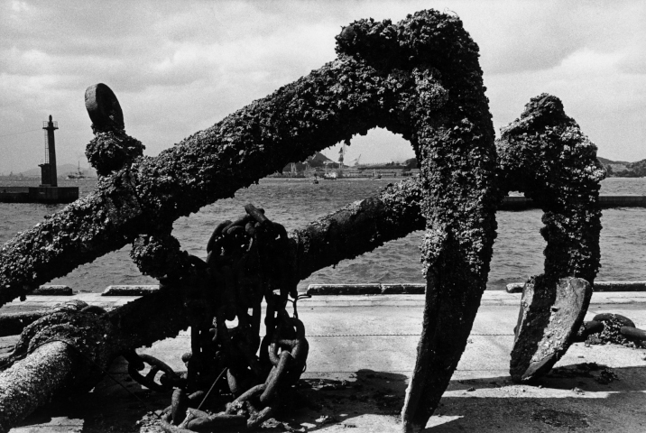 KOJI_Seitaka Awadachi_051