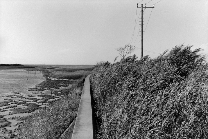 KOJI_Seitaka Awadachi_053