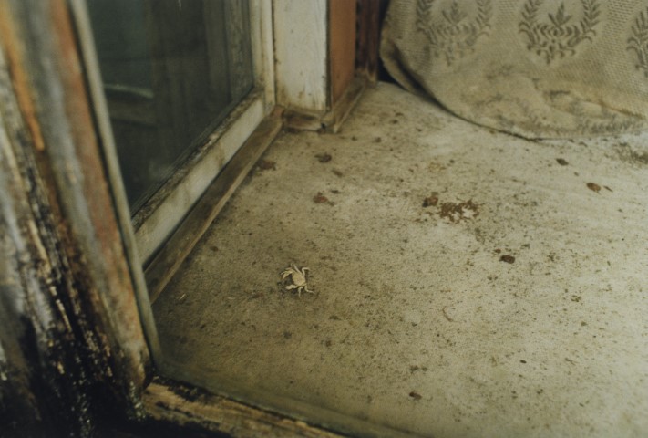 KOJI_TimRoofChimney_TC040