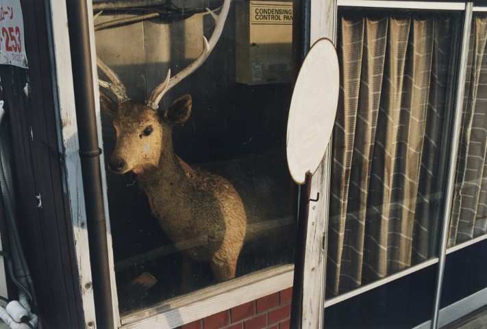 KOJI_TimRoofChimney_TC047