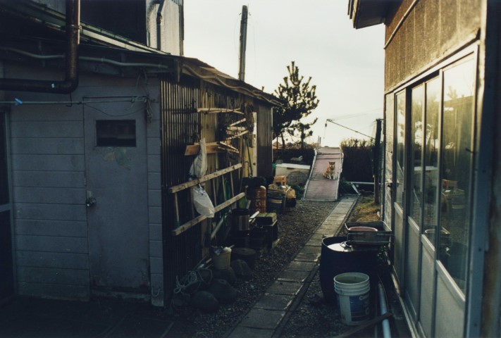 KOJI_TimRoofChimney_TC058