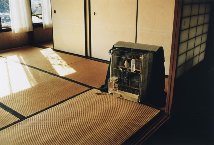 KOJI_TimRoofChimney_TC067