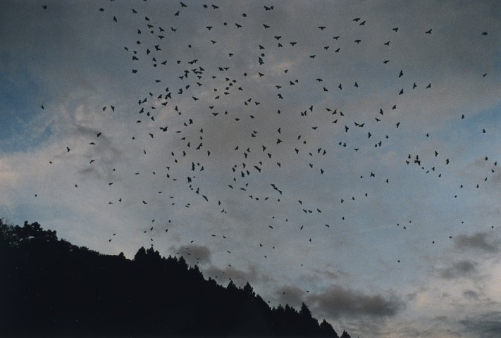 KOJI_TimRoofChimney_TC073