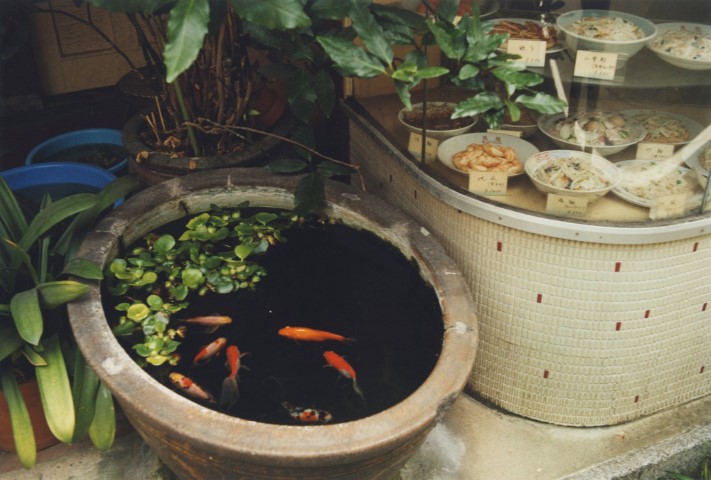 KOJI_TimRoofChimney_TC119