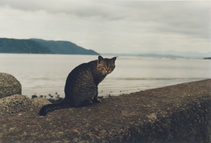 KOJI_TimRoofChimney_TC128